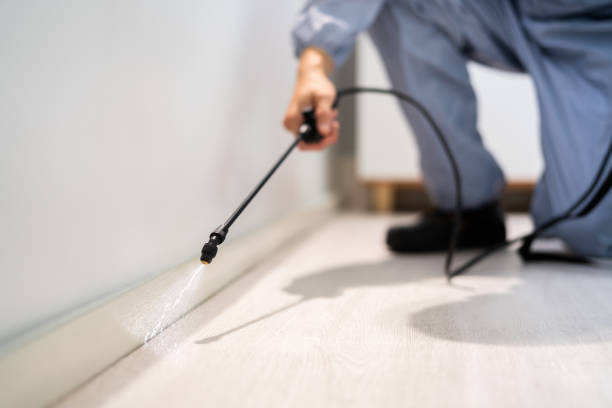 Licensed Termite Control service in St. Stephens, NC - Nex Pest Control