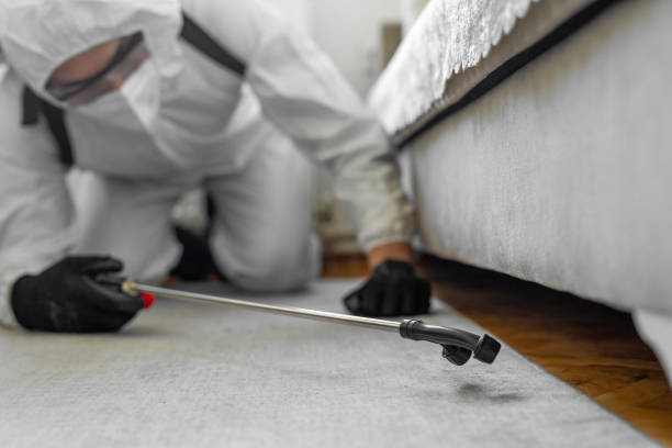 Professional Termite Control technician working in St. Stephens, NC