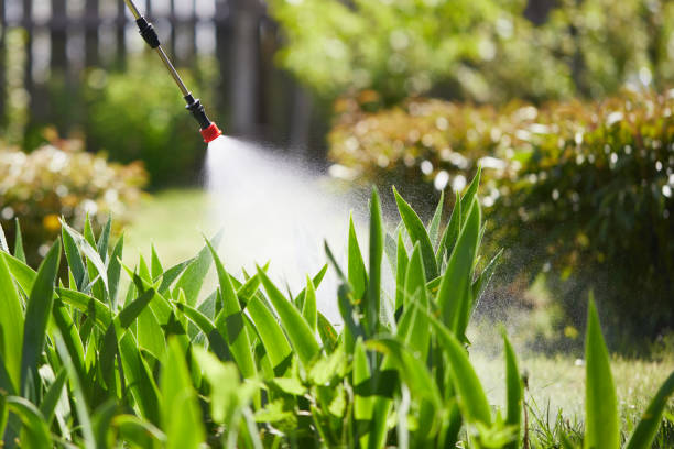 24/7 Emergency Termite Control experts in St. Stephens, NC